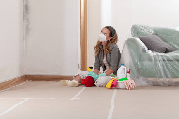 Reliable Mold Removal contractor in Sea Girt, NJ by WQB Mold Removal